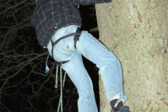20081228-IMG_289