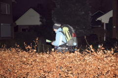 20081229-IMG_050