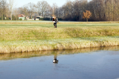 20081229-IMG_156