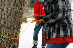 20101228-IMG_077