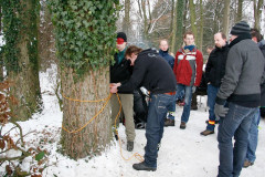 20101228-IMG_091