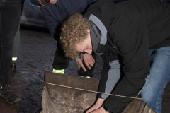20221228-Sandfotografie-IMG_7489