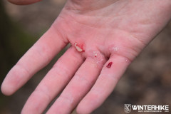 WH23-20231228-Sandfotografie-IMG_0157