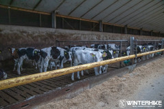 WH23-20231228-Sandfotografie-IMG_0342