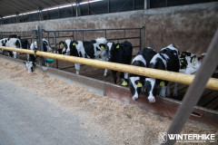 WH23-20231228-Sandfotografie-IMG_0344