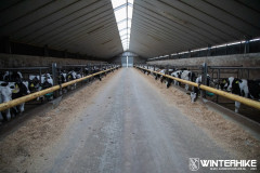 WH23-20231228-Sandfotografie-IMG_0345