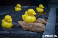 WH23-20231229-Sandfotografie-IMG_0777