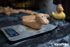 WH23-20231229-Sandfotografie-IMG_0783