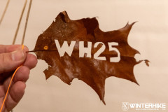 20251228-Sandfotografie-IMG_6268-